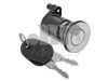 FIAT 735321287 Lock Cylinder Housing